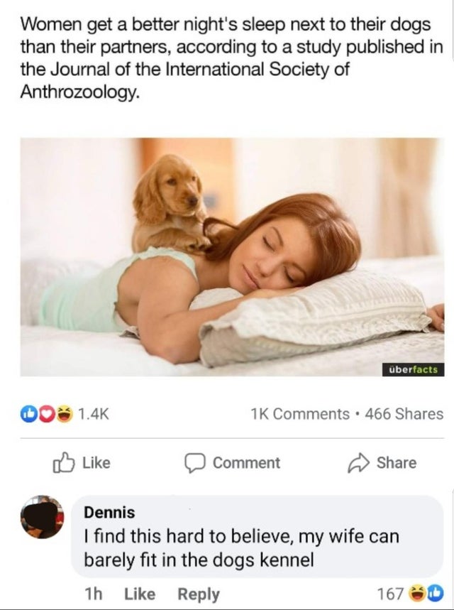 mattress - Women get a better night's sleep next to their dogs than their partners, according to a study published in the Journal of the International Society of Anthrozoology. berfacts 0 1K . 466 Comment Dennis I find this hard to believe, my wife can ba