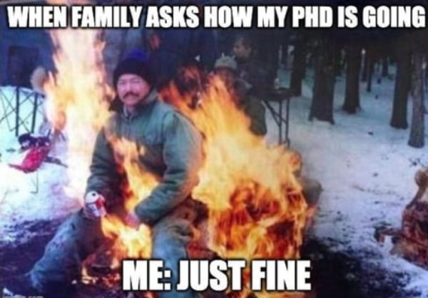 oregon fire meme - When Family Asks How My Phd Is Going Me Just Fine