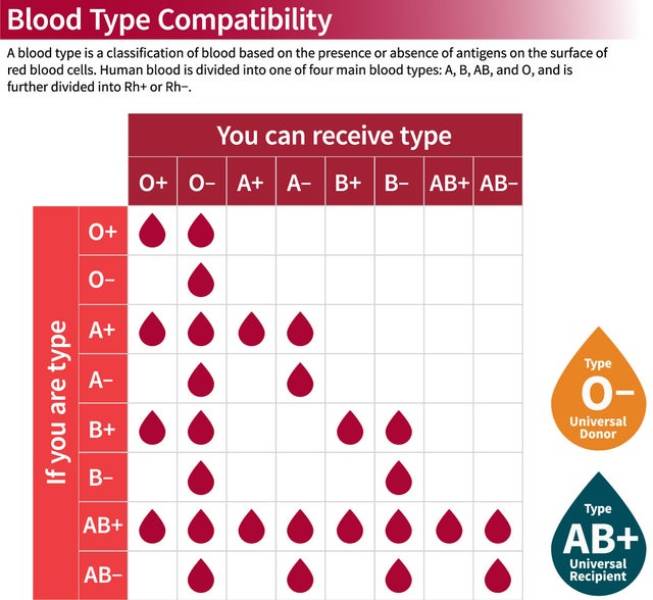 blood types - Blood Type Compatibility A blood type is a classification of blood based on the presence or absence of antigens on the surface of red blood cells. Human blood is divided into one of four main blood types A, B, Ab, and 0, and is further divid