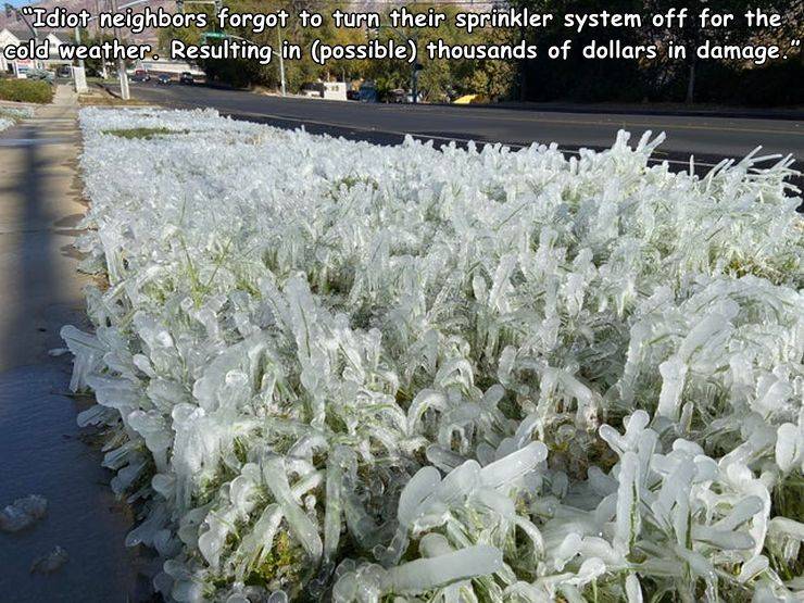 freezing - "Idiot neighbors forgot to turn their sprinkler system off for the cold weather. Resulting in possible thousands of dollars in damage."