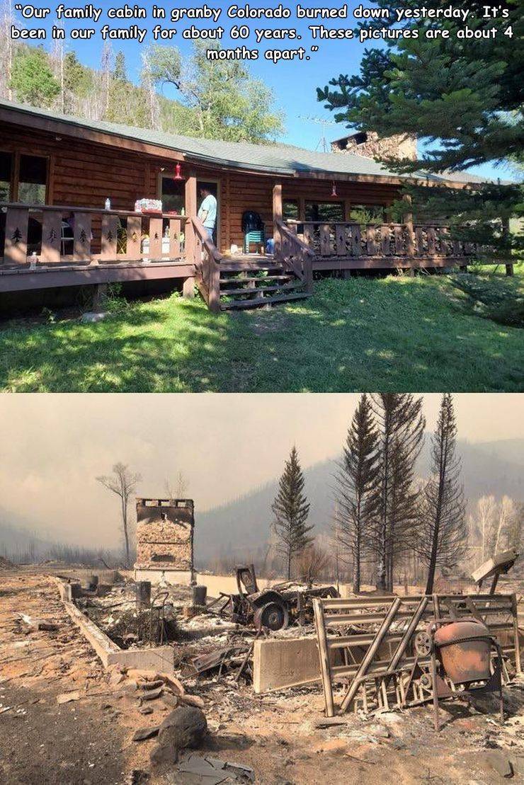 tree - "Our family cabin in granby Colorado burned down yesterday. It's been in our family for about 60 years. These pictures are about 4 months apart."