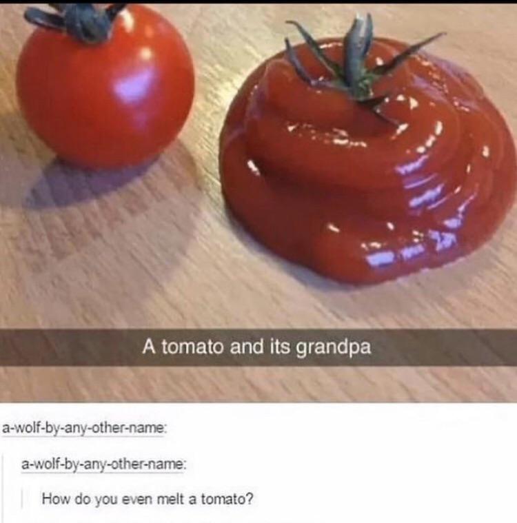 clever jokes - melted tomato - A tomato and its grandpa awolfbyanyothername awolfbyanyothername How do you even melt a tomato?