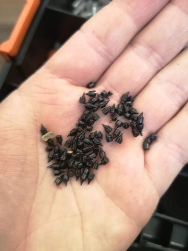Very tiny metal cylinders with sharp pointed end, what are they used for? Found in a misc hardware cup at a local thrift store. About 3 mm in length.

A: These are hobnails. An old way of increasing shoe traction.