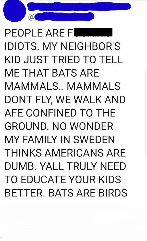 bats are birds tweet - People Are Fl Idiots. My Neighbor'S Kid Just Tried To Tell Me That Bats Are Mammals.. Mammals Dont Fly, We Walk And Afe Confined To The Ground. No Wonder My Family In Sweden Thinks Americans Are Dumb. Yall Truly Need To Educate Your