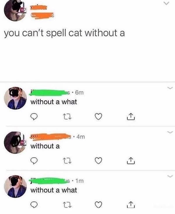 you can t spell cat without - you can't spell cat without a 16.6m without a what 4m without a 22 > s. 1m without a what