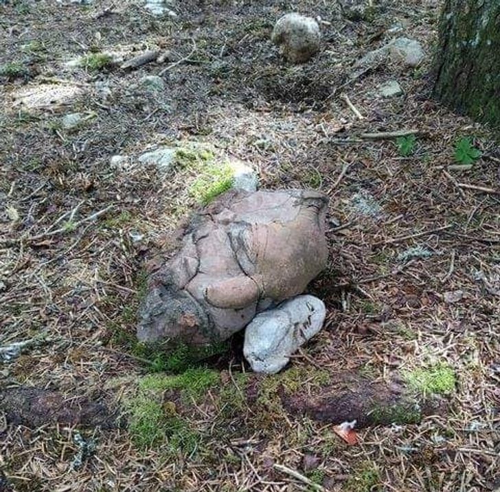 A rock formation that took the shape of a head with face-like features.