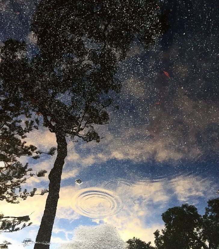 A starry night sky that appeared as a reflection on a puddle and some gravel