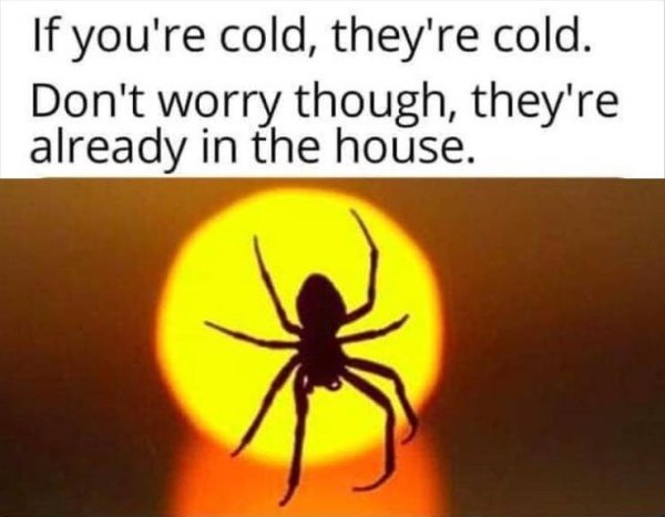 orange - If you're cold, they're cold. Don't worry though, they're already in the house.