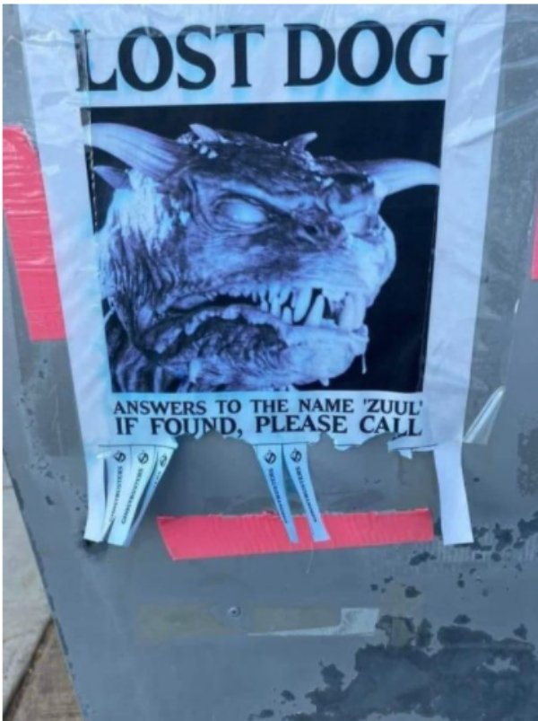 poster - Lost Dog Answers To The Name "Zuul' If Found, Please Call
