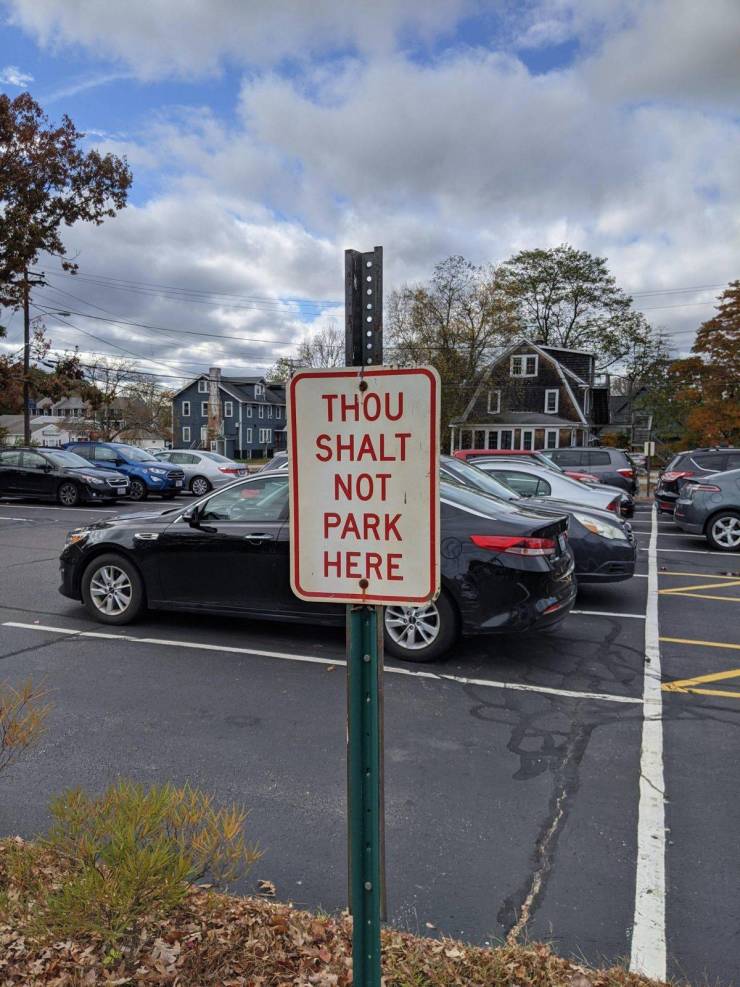 lane - Dobro Thou Shalt Not Park Here