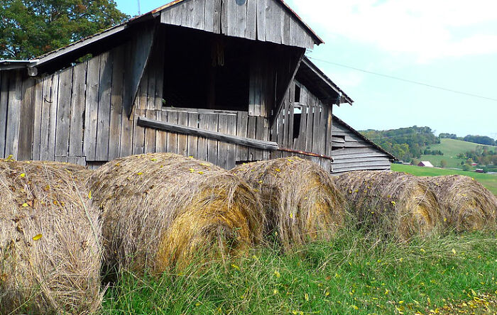 Guy had been working a few days at a barn. Decided to smoke right by bales of hay. Manager saw him and fired him right on the spot. At farms, you don’t f**k around with fire.