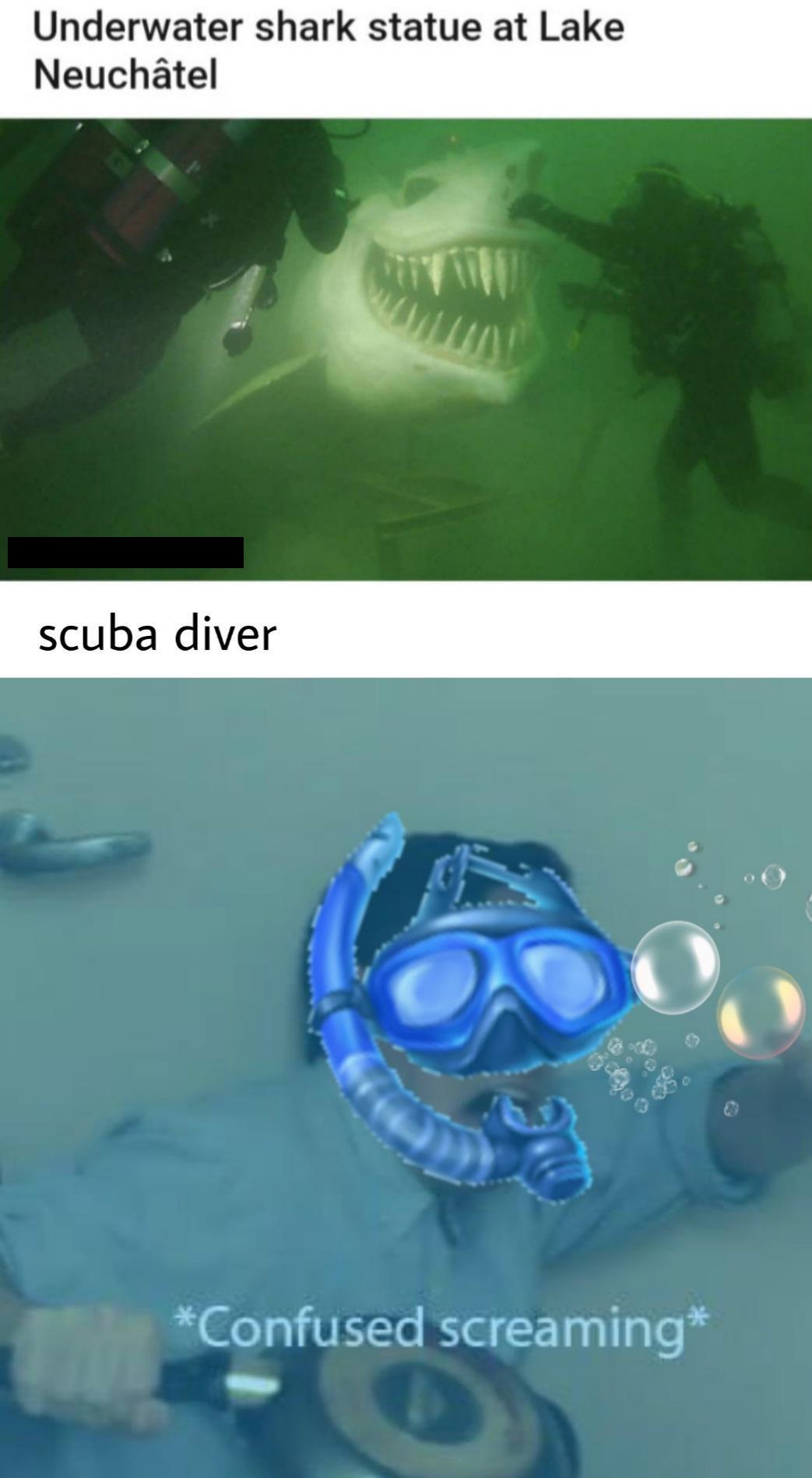 confused screaming meme - Underwater shark statue at Lake Neuchtel scuba diver Confused screaming