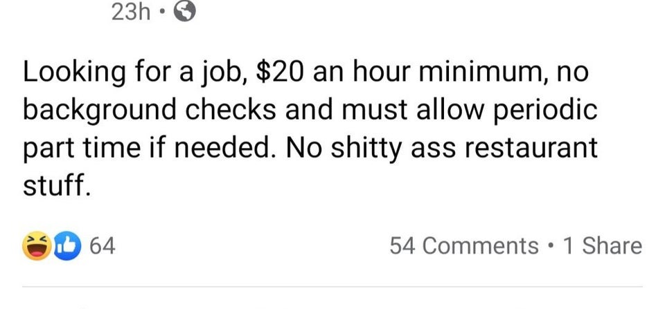 document - 23h Looking for a job, $20 an hour minimum, no background checks and must allow periodic part time if needed. No shitty ass restaurant stuff. 64 54 1