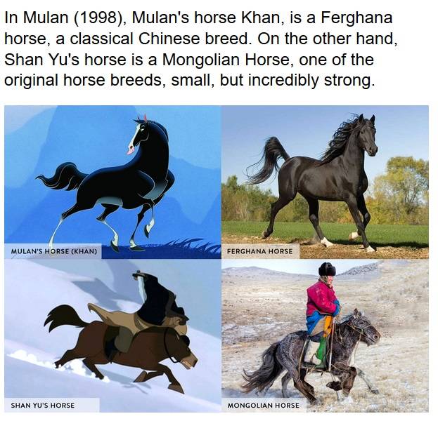 mulan disney - In Mulan 1998, Mulan's horse Khan, is a Ferghana horse, a classical Chinese breed. On the other hand, Shan Yu's horse is a Mongolian Horse, one of the original horse breeds, small, but incredibly strong. Mulan'S Horse Han Ferghana Horse Sha
