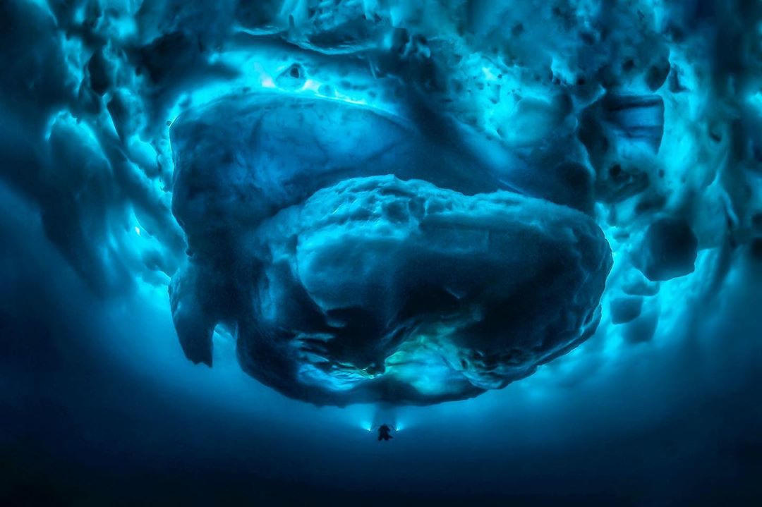 2020 underwater photographer of the year contest