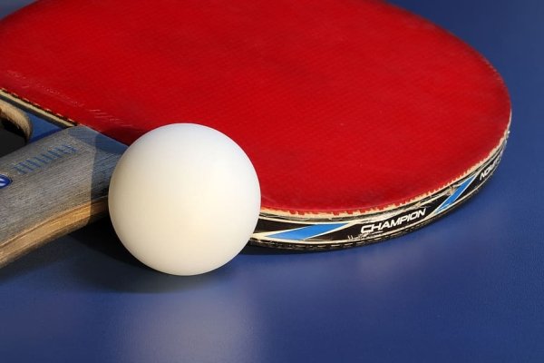 Pips:
Little nubs on the surface of a ping pong paddle
