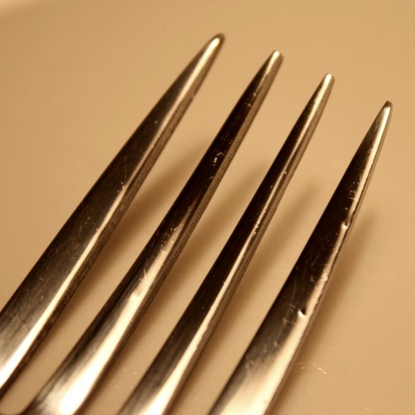 Tines:
The prongs on a fork
