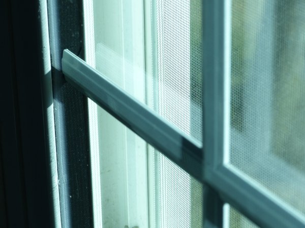 Muntins:
The strips between window frames