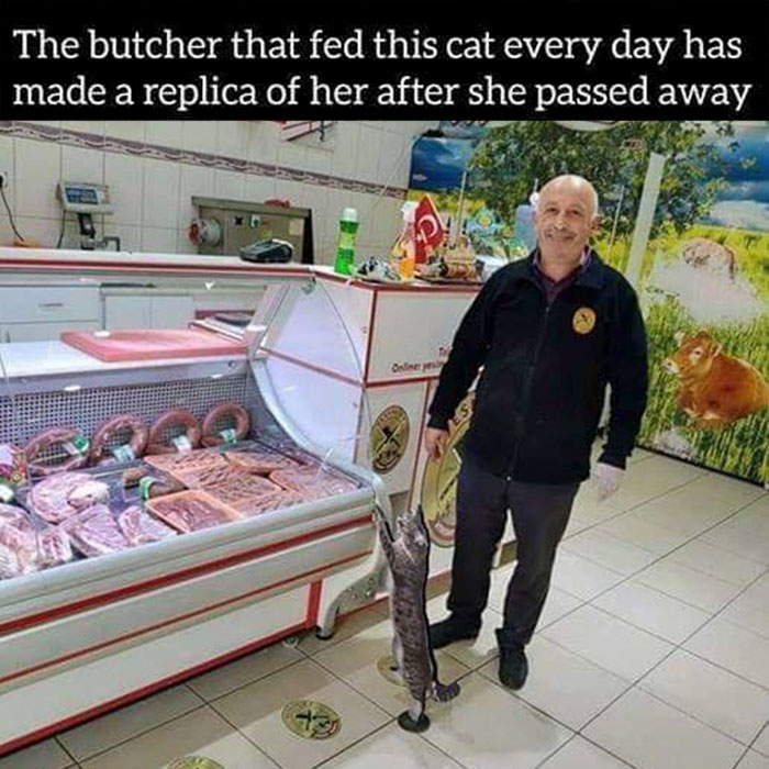 The butcher that fed this cat every day has made a replica of her after she passed away Oste MS7