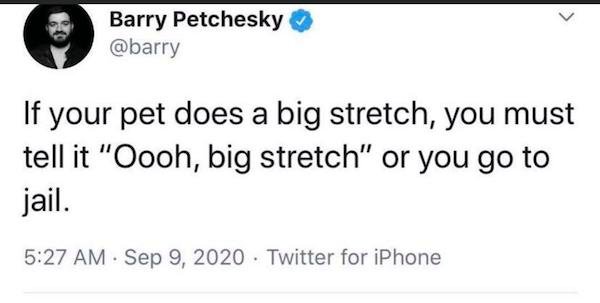 paper - Barry Petchesky If your pet does a big stretch, you must tell it "Oooh, big stretch" or you go to jail. Twitter for iPhone