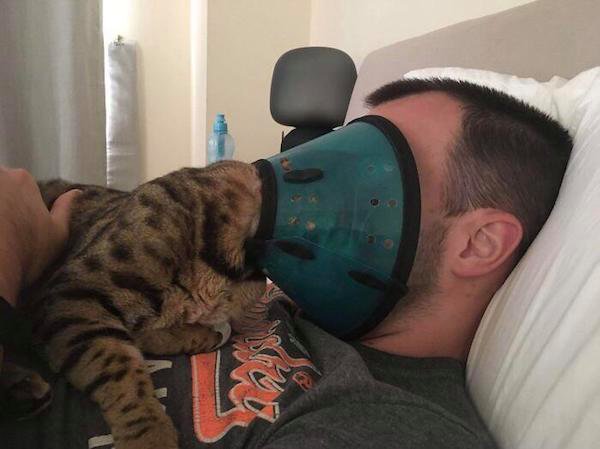 cat cone of shame - Secure