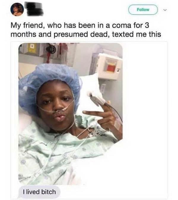 meme i lived bitch - My friend, who has been in a coma for 3 months and presumed dead, texted me this I lived bitch