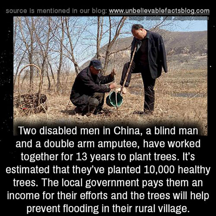 photo caption - source is mentioned in our blog wage wedisyan Zigmoidale Two disabled men in China, a blind man and a double arm amputee, have worked together for 13 years to plant trees. It's estimated that they've planted 10,000 healthy trees. The local