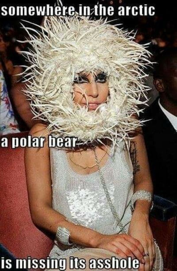 lady gaga funny - somewhere in the arctic a polar bear is missing its asshole