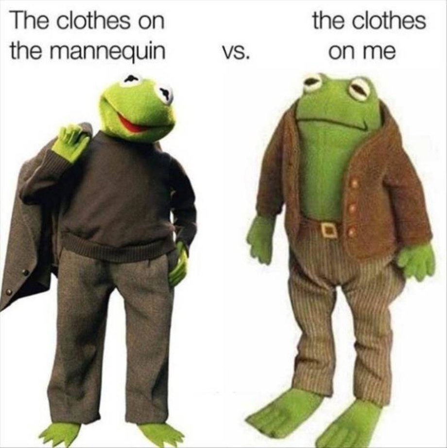 kermit meme - the clothes The clothes on the mannequin Vs. on me