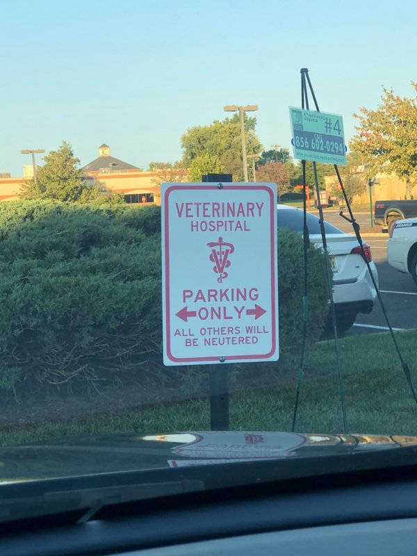 lane - 856 6020294 Veterinary Hospital Parking Only> All Others Will Be Neutered