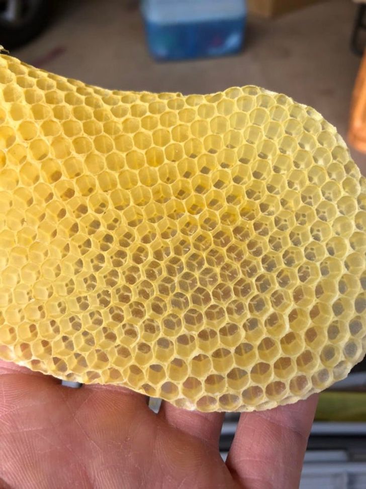 honeycomb