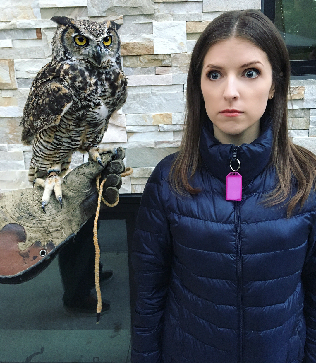 anna kendrick and an owl