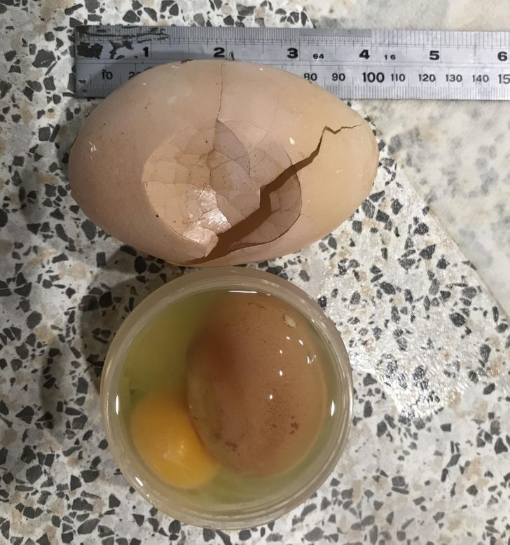 “Our chicken laid a 4-inch egg with another egg inside the egg.”