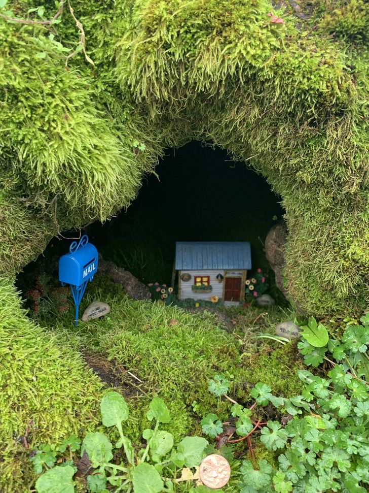 “I found a tiny house inside of a tree stump.”