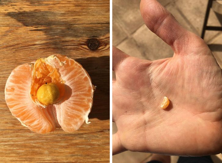 “My orange had a little mini orange growing inside of it.”