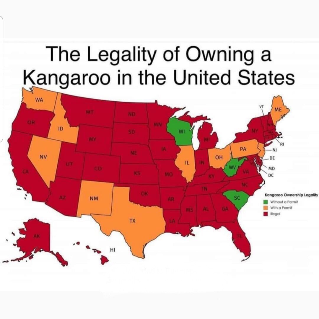 legality of owning a kangaroo map - The Legality of Owning a Kangaroo in the United States Wa Vt Mt Me Nd Or Mn Id Sd Wi Ny Wy Ri A Pa Nj Ne Nv Oh De Ut Il In Wv Ks Md Dc Mo Va Ky Nc In Ok Nm Ar Sc Kangaroo Ownership Legality Without a Permit with a Permi