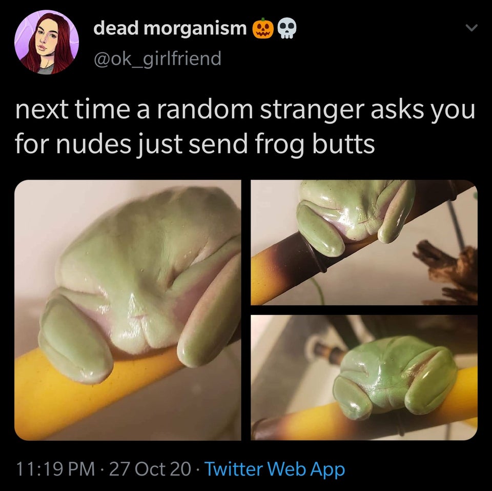 roscas - dead morganism next time a random stranger asks you for nudes just send frog butts 27 Oct 20 Twitter Web App