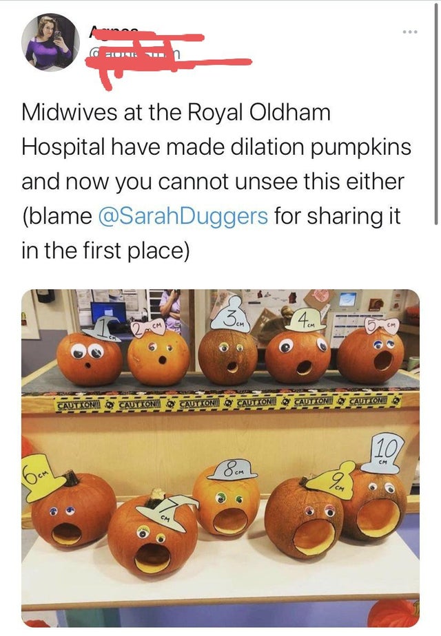 cervical pumpkins - Fiore Midwives at the Royal Oldham Hospital have made dilation pumpkins and now you cannot unsee this either blame for sharing it in the first place Bon Am Cautioni Cautionm Cautioni@ Caution Caution Cautione 10 6cm Som Cm Com Cm