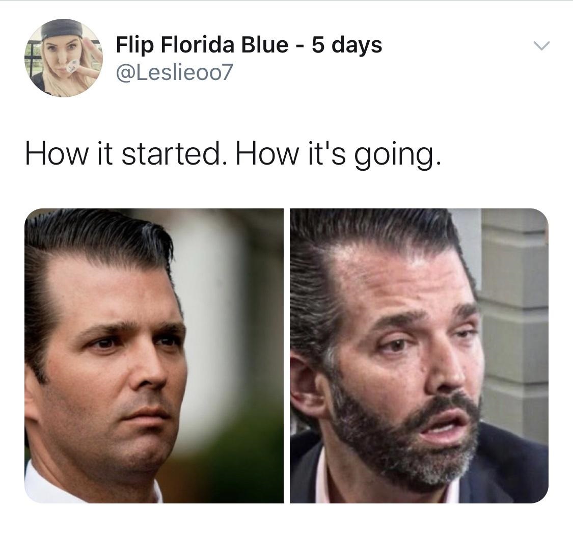 head - Flip Florida Blue 5 days How it started. How it's going.