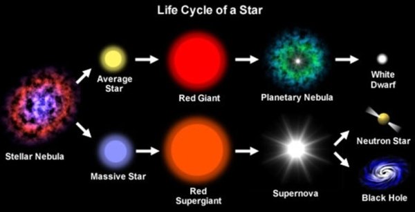 life cycle of a star - Life Cycle of a Star Average Star White Dwarf Red Giant Planetary Nebula Neutron Star Stellar Nebula Massive Star Red Supergiant Supernova Black Hole