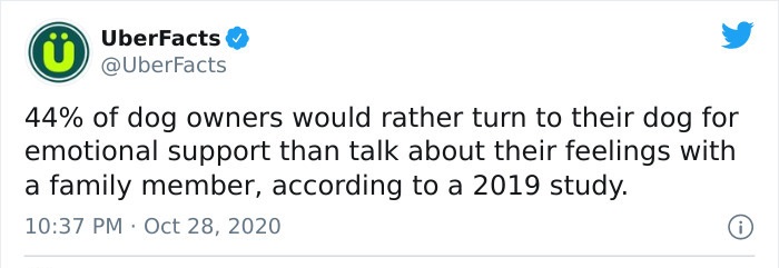 paper - UberFacts 44% of dog owners would rather turn to their dog for emotional support than talk about their feelings with a family member, according to a 2019 study.