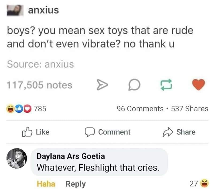 document - anxius boys? you mean sex toys that are rude and don't even vibrate? no thank u Source anxius 117,505 notes D 785 96 537 Comment Daylana Ars Goetia Whatever, Fleshlight that cries. Haha 27