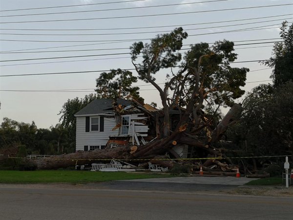 “Got a bit windy today.”