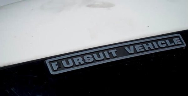 vehicle registration plate - Pursuit Vehicle