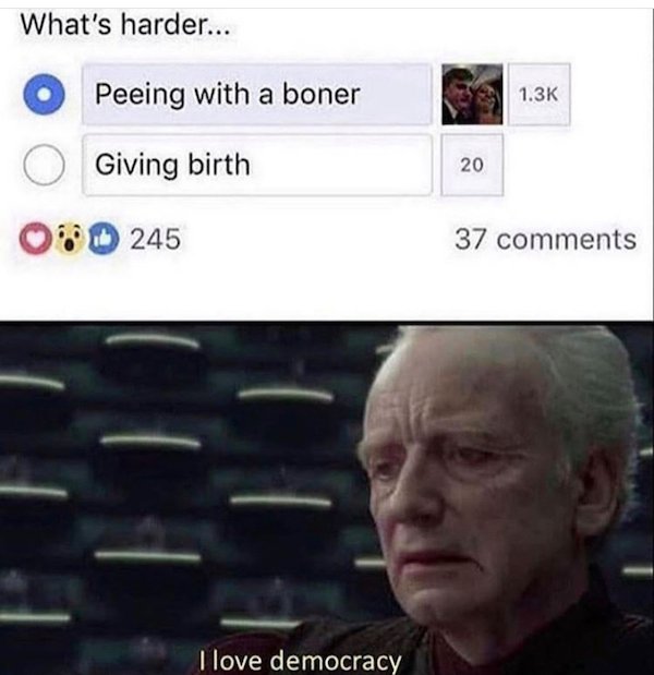 love democracy meme - What's harder... Peeing with a boner Giving birth 20 0245 37 I love democracy