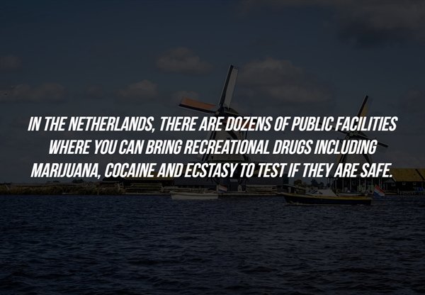 sky - In The Netherlands, There Are Dozens Of Public Facilities Where You Can Bring Recreational Drugs Including Marijuana, Cocaine And Ecstasy To Test If They Are Safe.