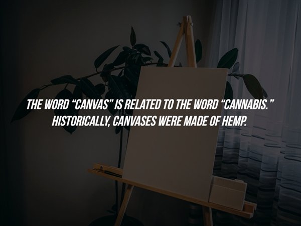 design - The Word Canvas" Is Related To The Word Cannabis. Historically, Canvases Were Made Of Hemp.