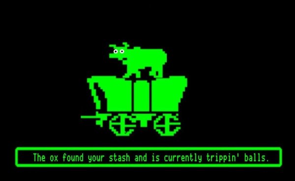 oregon trail memes - The ox found your stash and is currently trippin' balls.