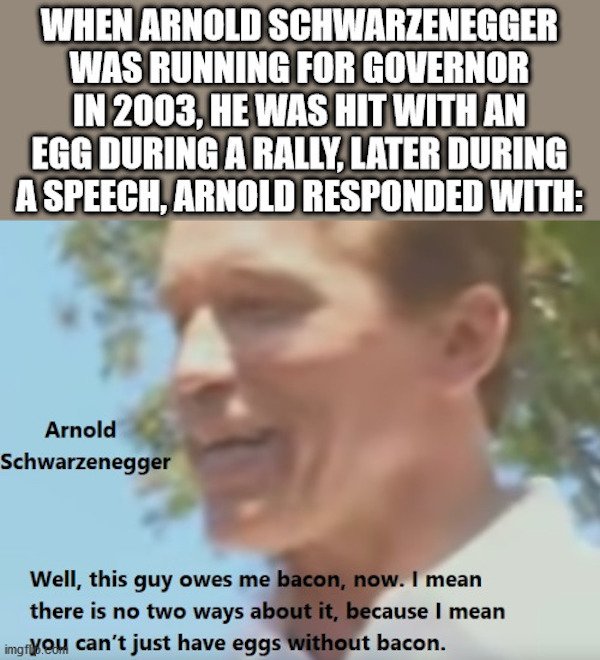 head - When Arnold Schwarzenegger Was Running For Governor In 2003, He Was Hit With An Egg During A Rally, Later During A Speech, Arnold Responded With Arnold Schwarzenegger Well, this guy owes me bacon, now. I mean there is no two ways about it, because 