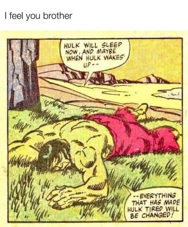 hulk sleep - I feel you brother Hulk Will Sleep Now And Maybe When Hulk Wakes Up tul Everything That Has Made Hulk Tired Will Be Changed!